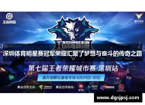深圳体育明星赛冠军荣耀汇聚了梦想与奋斗的传奇之路